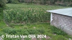 Land for Sale in Yanahuara: Opportunity in the Sacred Valley-image-48